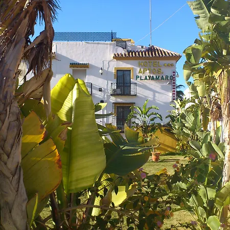 Playamaro Maro